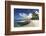 Beach Scene with Palm Trees-Lee Frost-Framed Photographic Print