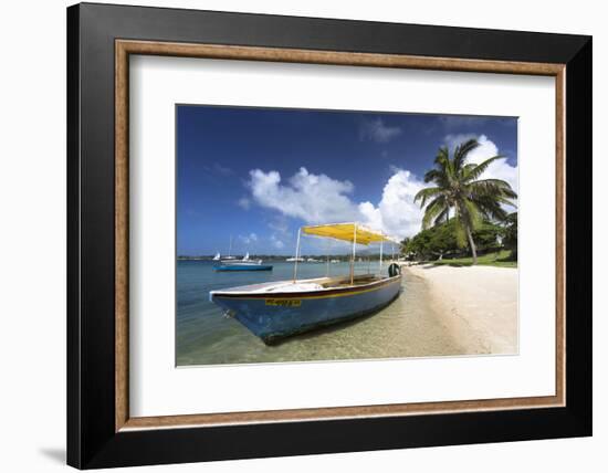 Beach Scene with Palm Trees-Lee Frost-Framed Photographic Print