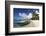 Beach Scene with Palm Trees-Lee Frost-Framed Photographic Print