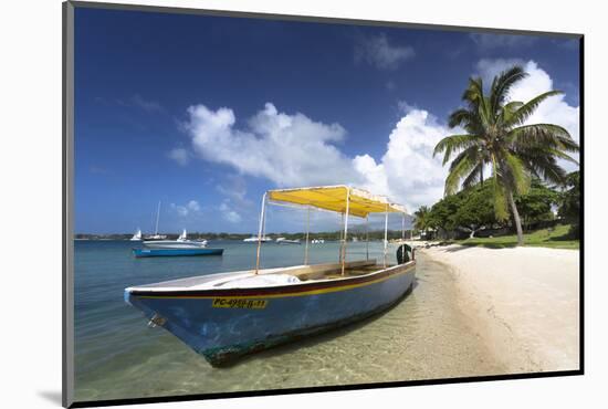 Beach Scene with Palm Trees-Lee Frost-Mounted Photographic Print