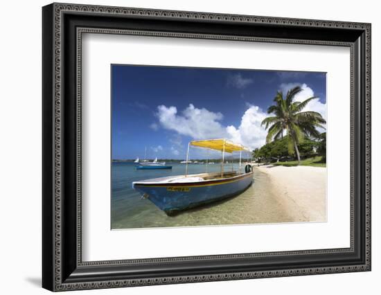 Beach Scene with Palm Trees-Lee Frost-Framed Photographic Print