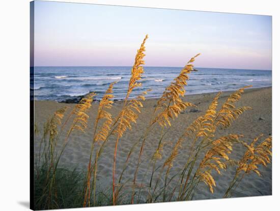 Beach Scene with Sea Oats-Steve Winter-Stretched Canvas