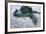 Beach, Sea-Eel, Conger Conger, Fish, Eel-Carl-Werner Schmidt-Luchs-Framed Photographic Print