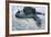 Beach, Sea-Eel, Conger Conger, Fish, Eel-Carl-Werner Schmidt-Luchs-Framed Photographic Print