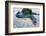 Beach, Sea-Eel, Conger Conger, Fish, Eel-Carl-Werner Schmidt-Luchs-Framed Photographic Print