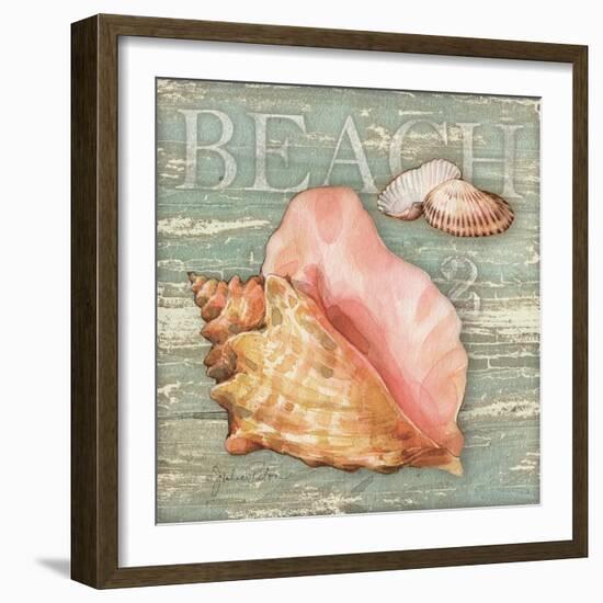 Beach Shells Conch-Julie Paton-Framed Art Print