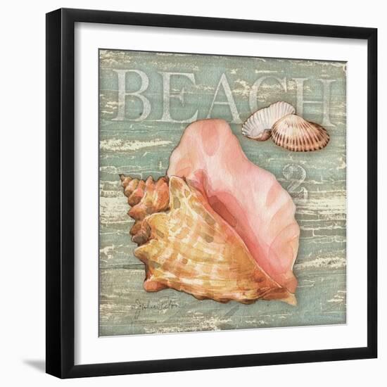 Beach Shells Conch-Julie Paton-Framed Art Print