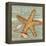 Beach Shells Starfish-Julie Paton-Framed Stretched Canvas