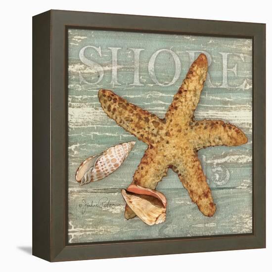 Beach Shells Starfish-Julie Paton-Framed Stretched Canvas