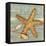 Beach Shells Starfish-Julie Paton-Framed Stretched Canvas