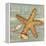 Beach Shells Starfish-Julie Paton-Framed Stretched Canvas