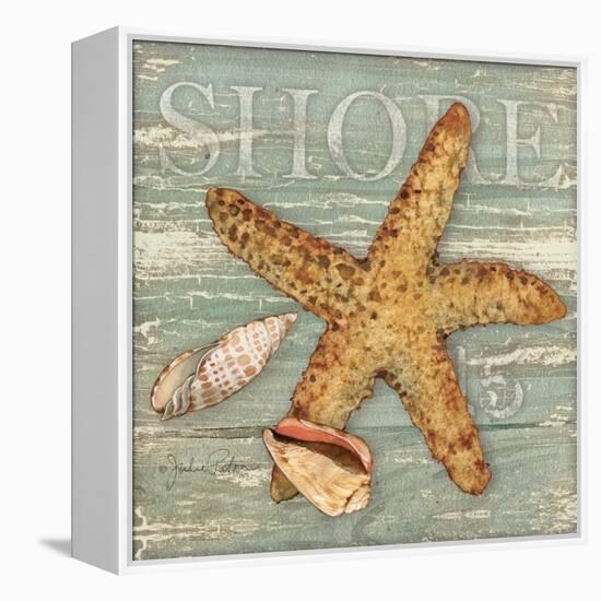 Beach Shells Starfish-Julie Paton-Framed Stretched Canvas