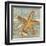 Beach Shells Starfish-Julie Paton-Framed Art Print