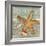 Beach Shells Starfish-Julie Paton-Framed Premium Giclee Print