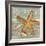 Beach Shells Starfish-Julie Paton-Framed Premium Giclee Print