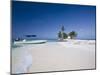 Beach, Silk Caye, Belize-Jane Sweeney-Mounted Photographic Print