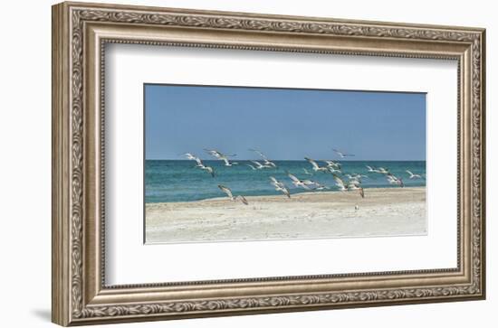 Beach Skimmers-Mary Lou Johnson-Framed Art Print