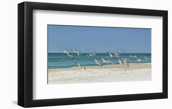 Beach Skimmers-Mary Lou Johnson-Framed Art Print