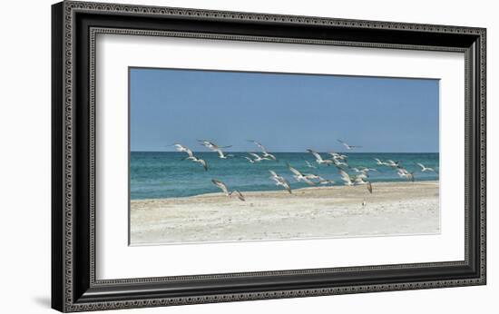 Beach Skimmers-Mary Lou Johnson-Framed Art Print