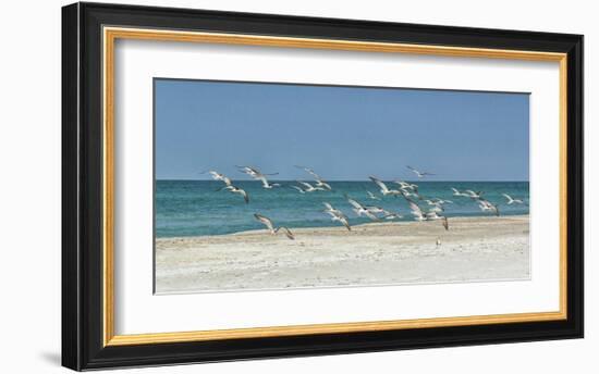 Beach Skimmers-Mary Lou Johnson-Framed Art Print