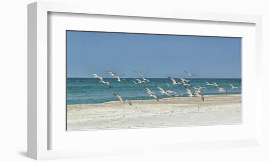 Beach Skimmers-Mary Lou Johnson-Framed Art Print