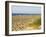 Beach, Southwold, Suffolk, England, United Kingdom-Amanda Hall-Framed Photographic Print