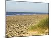 Beach, Southwold, Suffolk, England, United Kingdom-Amanda Hall-Mounted Photographic Print