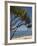 Beach, St. Pierre, Reunion Island, French Overseas Territory-Cindy Miller Hopkins-Framed Photographic Print