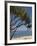 Beach, St. Pierre, Reunion Island, French Overseas Territory-Cindy Miller Hopkins-Framed Photographic Print