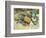 Beach Stones-Mark Goodall-Framed Premium Giclee Print