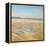 Beach Strollers-Timothy Easton-Framed Premier Image Canvas