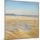 Beach Strollers-Timothy Easton-Mounted Giclee Print