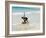 Beach Surfing at Santa Maria on the Island of Sal (Salt), Cape Verde Islands, Africa-R H Productions-Framed Photographic Print