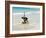 Beach Surfing at Santa Maria on the Island of Sal (Salt), Cape Verde Islands, Africa-R H Productions-Framed Photographic Print