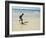 Beach Surfing at Santa Maria on the Island of Sal (Salt), Cape Verde Islands, Africa-R H Productions-Framed Photographic Print