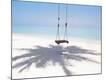 Premium Photographic Print