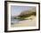 Beach, Tarrafal, Santiago, Cape Verde Islands, Africa-R H Productions-Framed Photographic Print