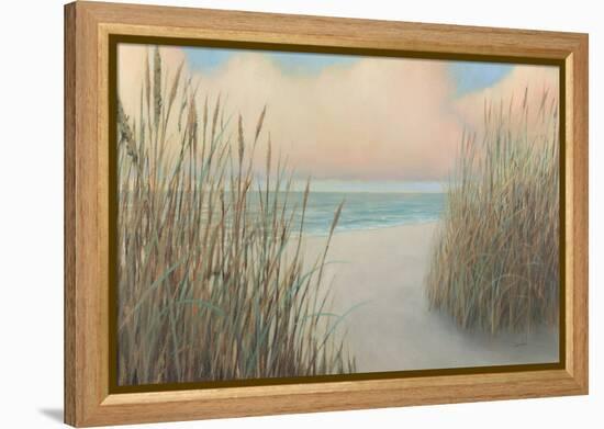 Beach Trail I-James Wiens-Framed Stretched Canvas