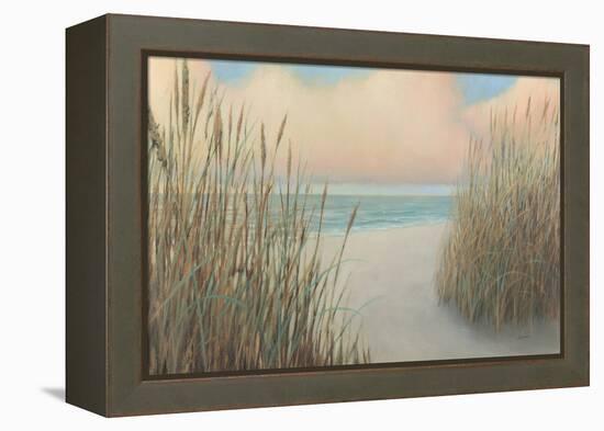 Beach Trail I-James Wiens-Framed Stretched Canvas