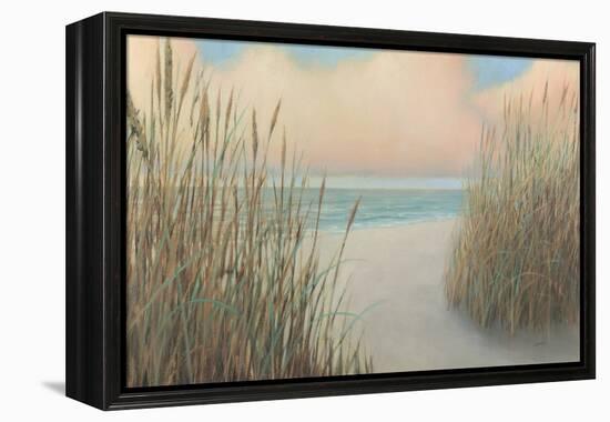 Beach Trail I-James Wiens-Framed Stretched Canvas