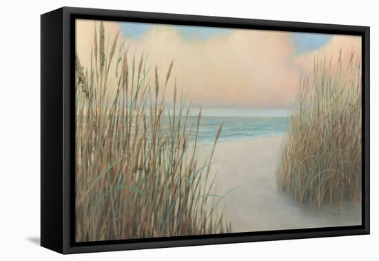 Beach Trail I-James Wiens-Framed Stretched Canvas