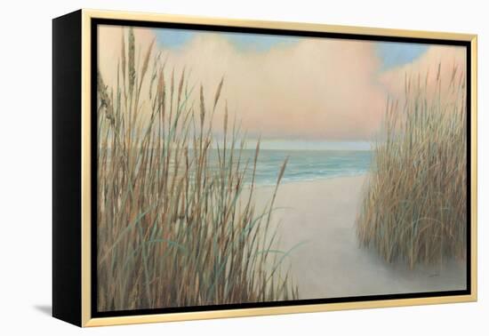 Beach Trail I-James Wiens-Framed Stretched Canvas