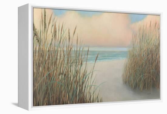 Beach Trail I-James Wiens-Framed Stretched Canvas