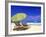 Beach Umbrella, Abaco, Bamahas-Michael DeFreitas-Framed Photographic Print