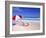 Beach Umbrella and Chairs, Caribbean-Bill Bachmann-Framed Photographic Print