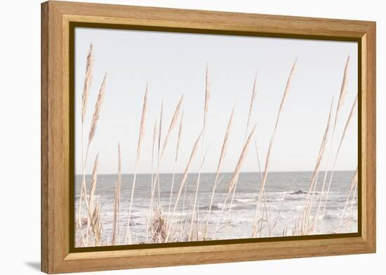 Beach_Vass_002-1x Studio III-Framed Premier Image Canvas