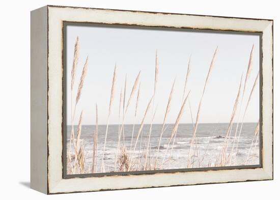 Beach_Vass_002-1x Studio III-Framed Premier Image Canvas