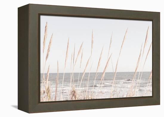 Beach_Vass_002-1x Studio III-Framed Premier Image Canvas