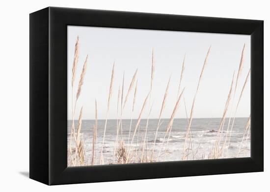 Beach_Vass_002-1x Studio III-Framed Premier Image Canvas