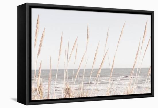 Beach_Vass_002-1x Studio III-Framed Premier Image Canvas